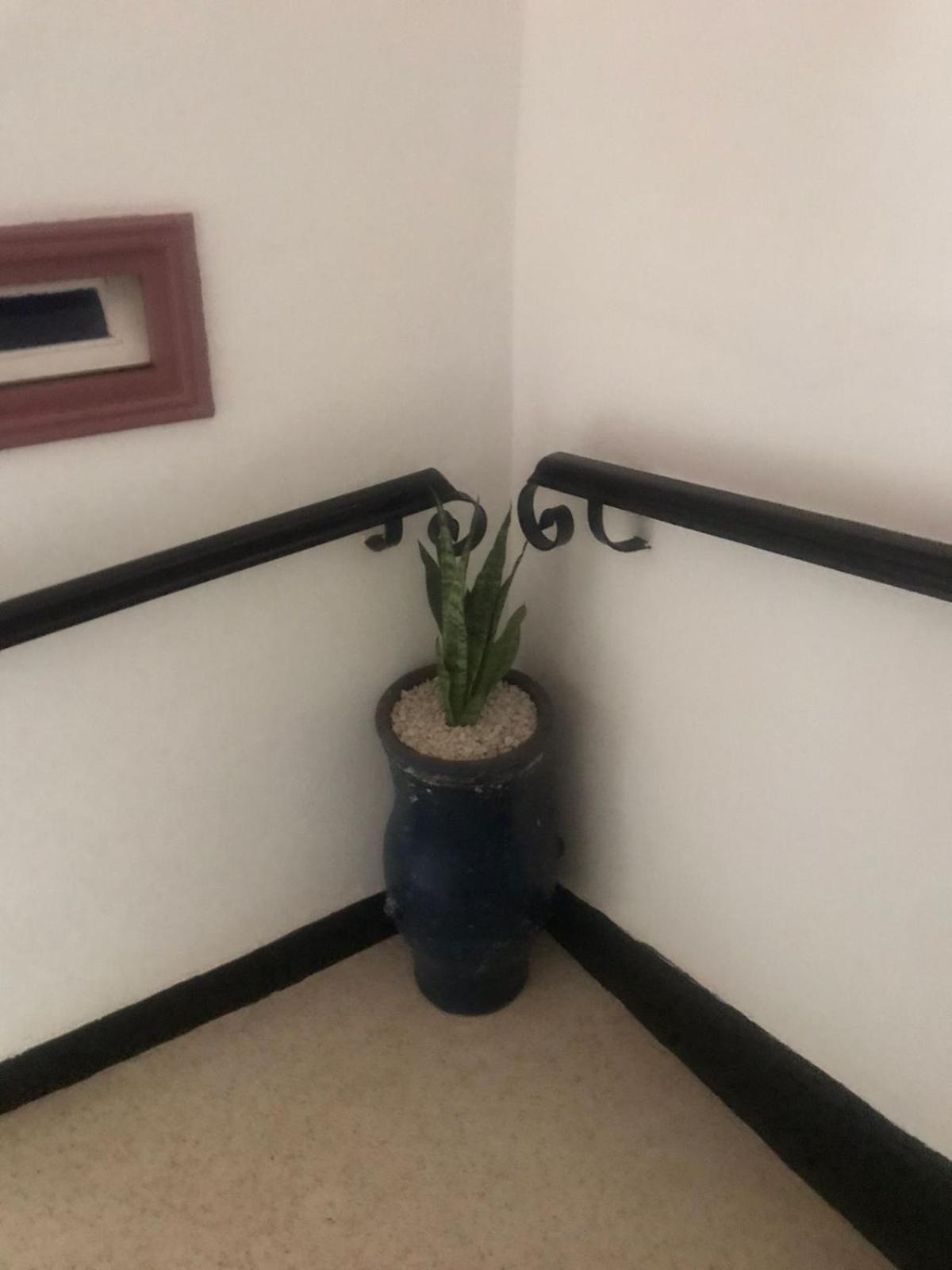 Hotel Riad Gnaoua Есувейра Екстериор снимка